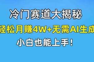 （9949期）快手无脑搬运冷门赛道视频“仅6个作品 涨粉6万”轻松月赚4W+