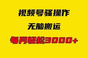 （9968期）4月最新视频号无脑爆款玩法，挂机纯搬运，每天轻松3000+