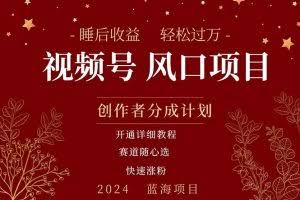 （11331期）拥有睡眠收益的微信视频号大风口项目，轻松月入过万+，多赛道选择，可…