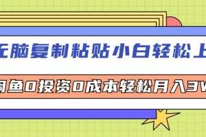 （12431期）无脑复制粘贴，小白轻松上手，电商0投资0成本轻松月入3W+