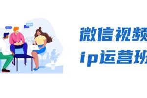 （13228期）微信视频号ip运营班：特邀分享+CEO直播+精英分享，揭秘视频号变现秘诀