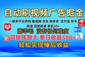 （13223期）多平台 自动看视频 广告掘金，当天变现，收益300+，可矩阵放大操作