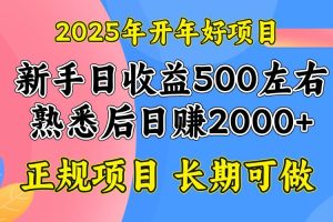 （14076期）2025开年好项目，单号日收益2000左右