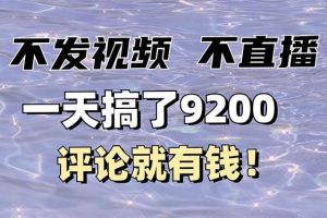 （14018期）不发作品不直播，评论就有钱，一条最高10块，一天搞了9200