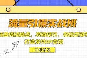 （14008期）流量引爆实战班，涵盖情绪触点，剪辑技巧，投放逻辑等，打造女性IP变现