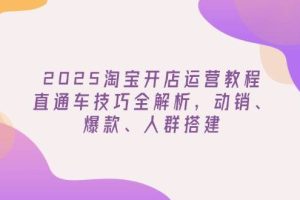 （14389期）2025淘宝开店运营教程更新，直通车技巧全解析，动销、爆款、人群搭建