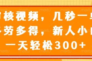 （14294期）审核视频，几秒一单，多劳多得，新人小白一天轻松300+