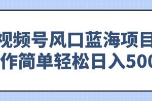 （14276期）视频号风口蓝海项目，操作简单轻松日入500+