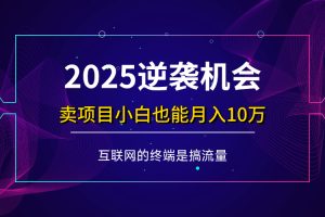 （14122期）项目标题：2025逆袭机会，卖项目小白也能轻松月入10万+