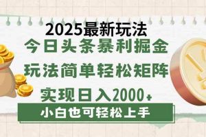 （14120期）今日头条2025最新玩法，思路简单，复制粘贴，轻松实现矩阵日入2000+