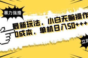 （14400期）最新玩法 广告暴力强撸 傻瓜式操作 无需养鸡 矩阵式操作 可无限放大 单…