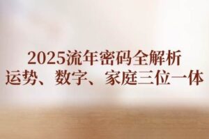 （14466期）2025流年密码全解析，运势、数字、家庭三位一体