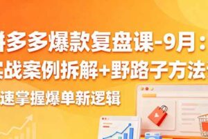 （16176期）拼多多爆款复盘课-9月：实战案例拆解+野路子方法论，快速掌握爆单新逻辑