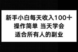 （15937期）新手小白每天收入100+，操作简单 当天学会 ，适合所有人的副业
