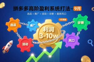 （15916期）拼多多高阶盈利系统打法-9月：选品+推广+活动+诊断+最新风口，月利润3-10w