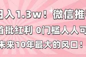 （16969期）日入1.3w！微信推客，首批红利，未来10年最大的风口，0门槛，人人可做！