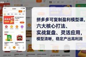 （16952期）拼多多可复制盈利模型课，六大核心打法、实战复盘、灵活应用，模型清晰，稳定产出高利润