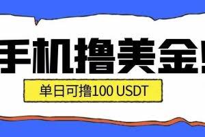 （16886期）最新手机撸美金项目，单日产值·100U+，将会是2026年最新的风口项目  目前在搞的人比较少