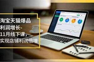 （16824期）淘宝天猫爆品利润增长-11月线下课，免费流量、付费放大、费比管控，实现店铺利润倍增