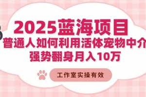 （16489期）2025蓝海项目：普通人如何利用活体宠物中介，强势翻身月入10万
