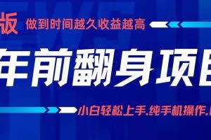 （16227期）项目讲解年入百万：小白轻松上手，纯手机操作.日入2k+