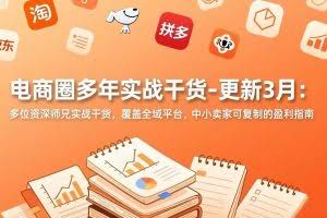 （17577期）电商圈多年实战干货-更新3月：多位资深师兄实战干货，覆盖全域平台，中小卖家可复制的盈利指南